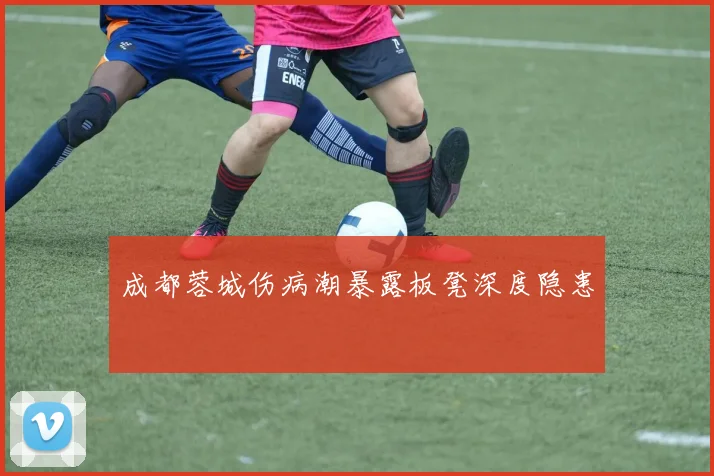 成都蓉城伤病潮暴露板凳深度隐患