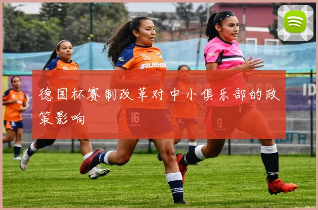 德国杯赛制改革对中小俱乐部的政策影响