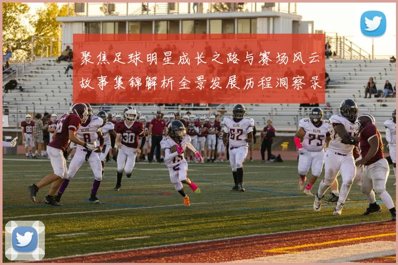 聚焦足球明星成长之路与赛场风云故事集锦解析全景发展历程洞察录